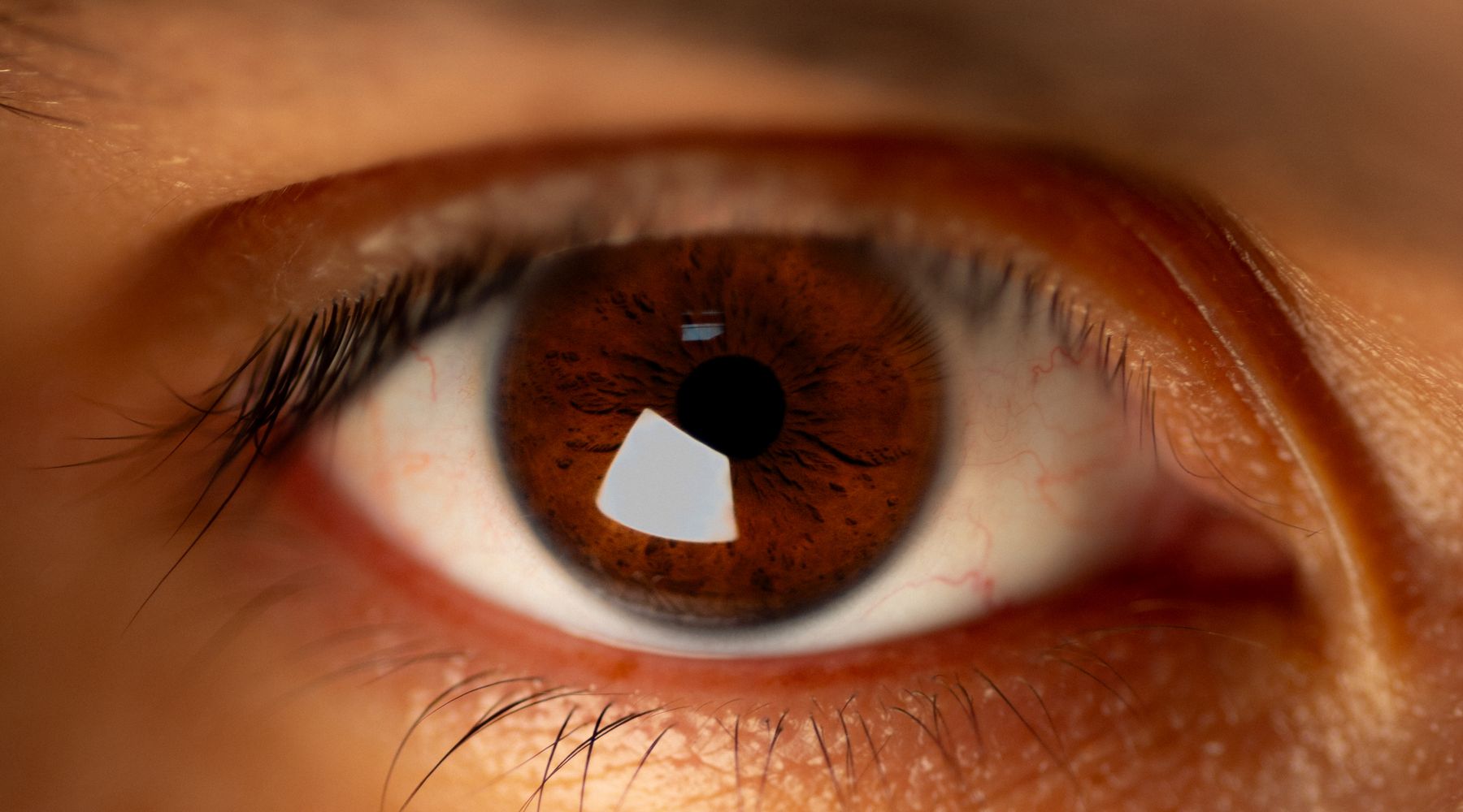 Close view of a brown eye