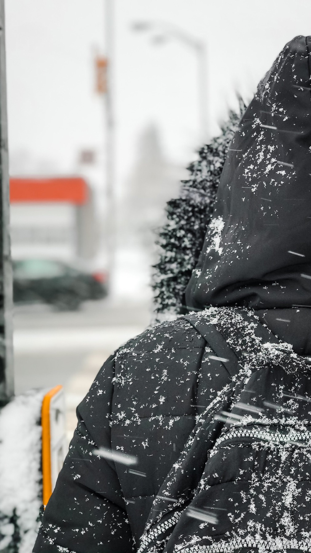 A person in a dark coat walking through falling snow