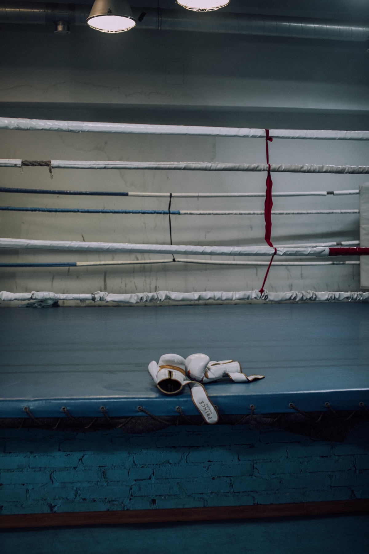Boxing gloves rest in an empty ring after training