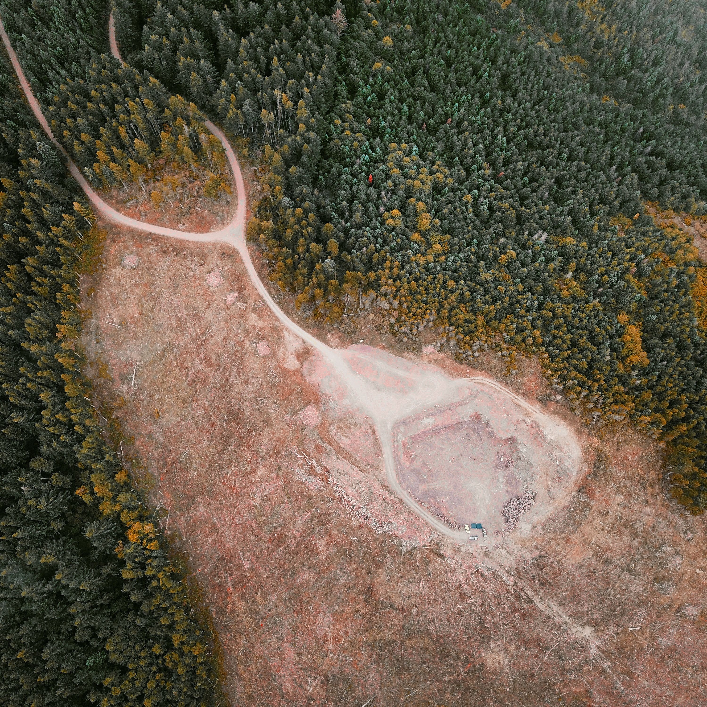 Aerial view of a clear-cut area in a coniferous forest